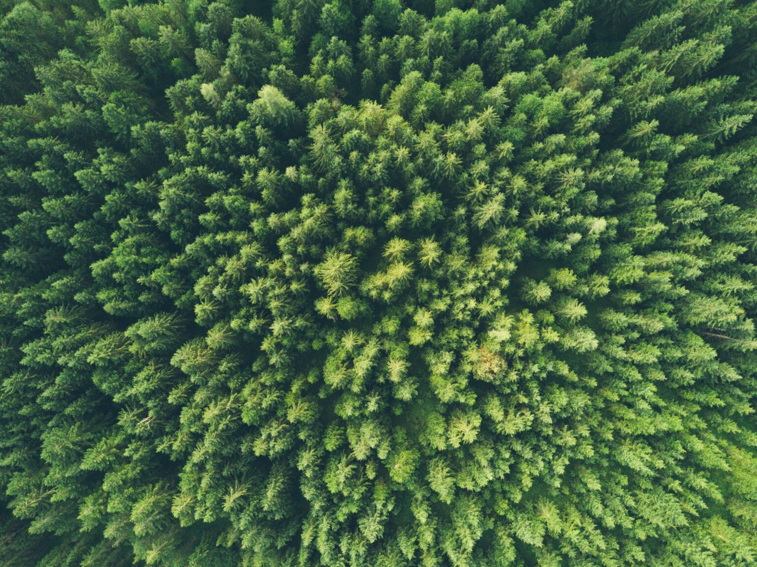 Environments